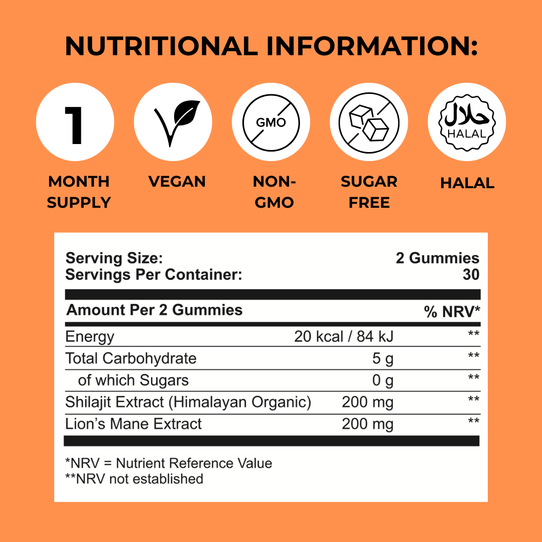 Focus & Memory Bundle