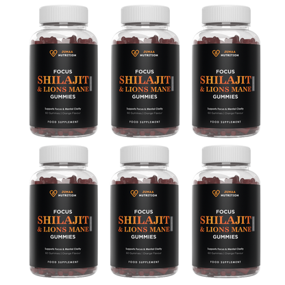 Focus Shilajit & Lions Mane Gummies