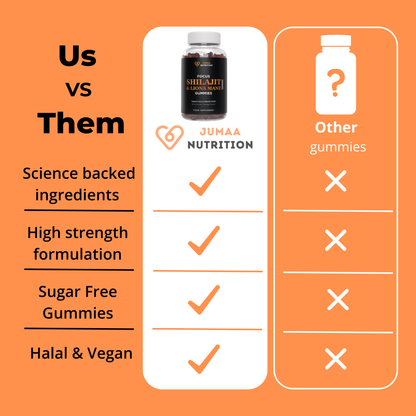 Focus Shilajit & Lions Mane Gummies